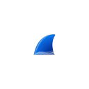 Wireshark